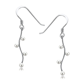Wonderful Design Silver Earring SPLE-07